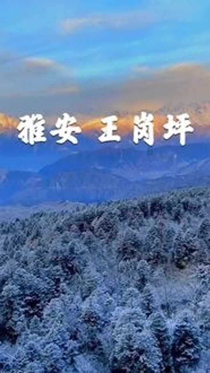 冬天的布达佩斯：这6大体验让你爱上这座城市的冬日魅力！