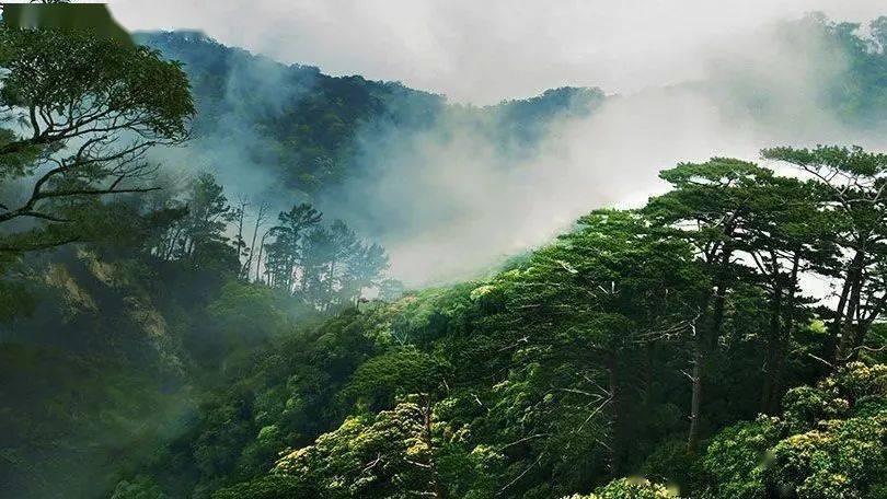 僵尸粉碎机