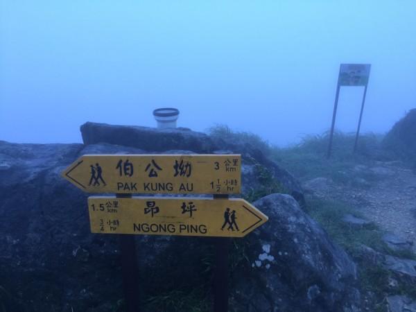 “烧钱”专业户，百济神州5年半亏损500亿！股价逆势跌3%！