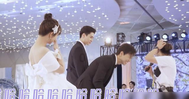 近2000亿市值医药龙头“闪崩”跌停!药明康德就“美国生物安全法草案”逐一回应……