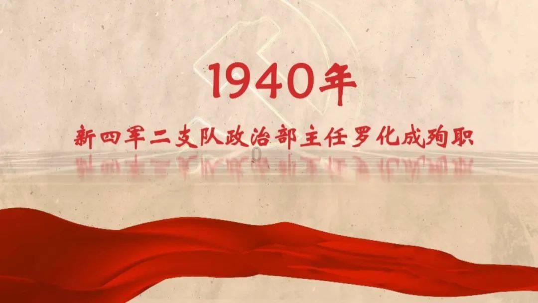 生化危机：浣熊市行动