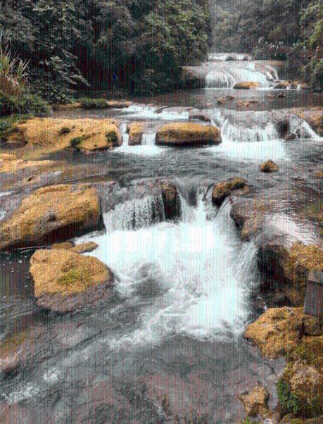 逃出猫头鹰岛