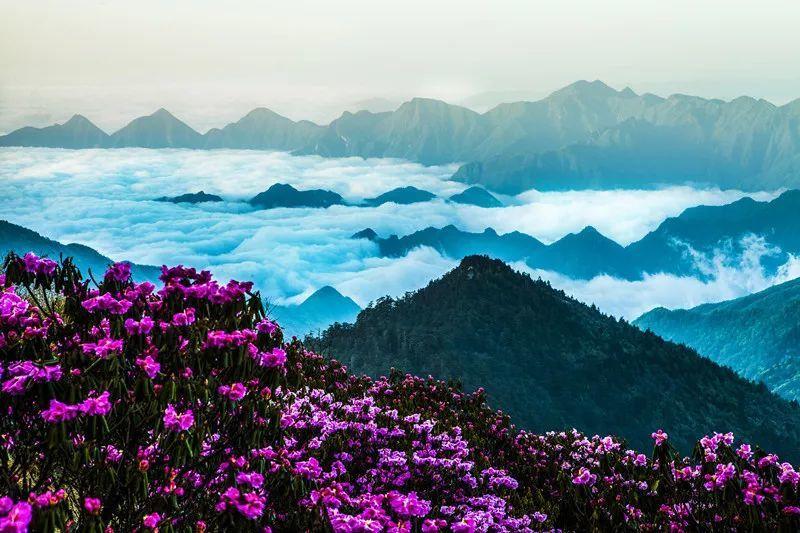 沪江开心词场