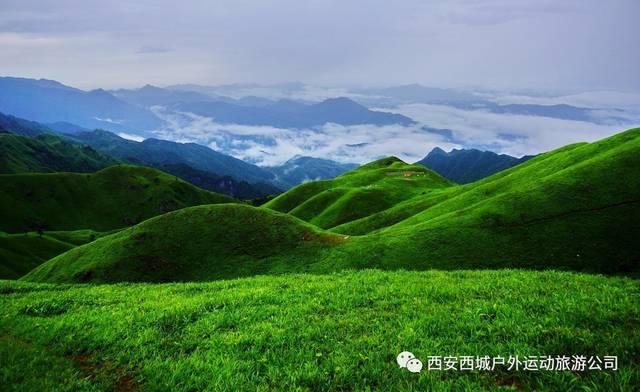 救援卡通熊仔