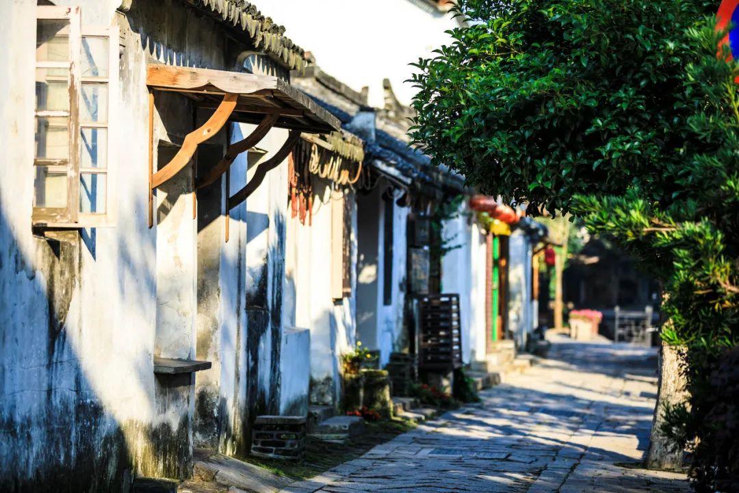 南阳市政府第25次常务会议召开