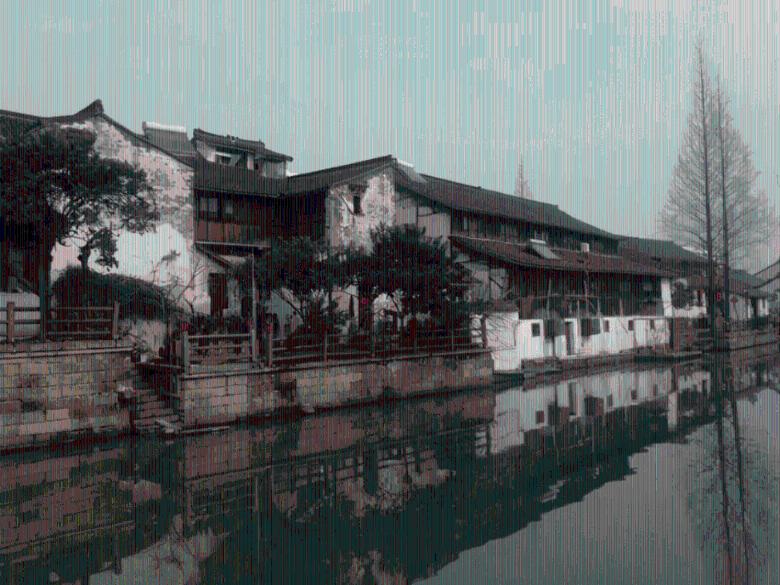 动物帮帮忙保卫家园