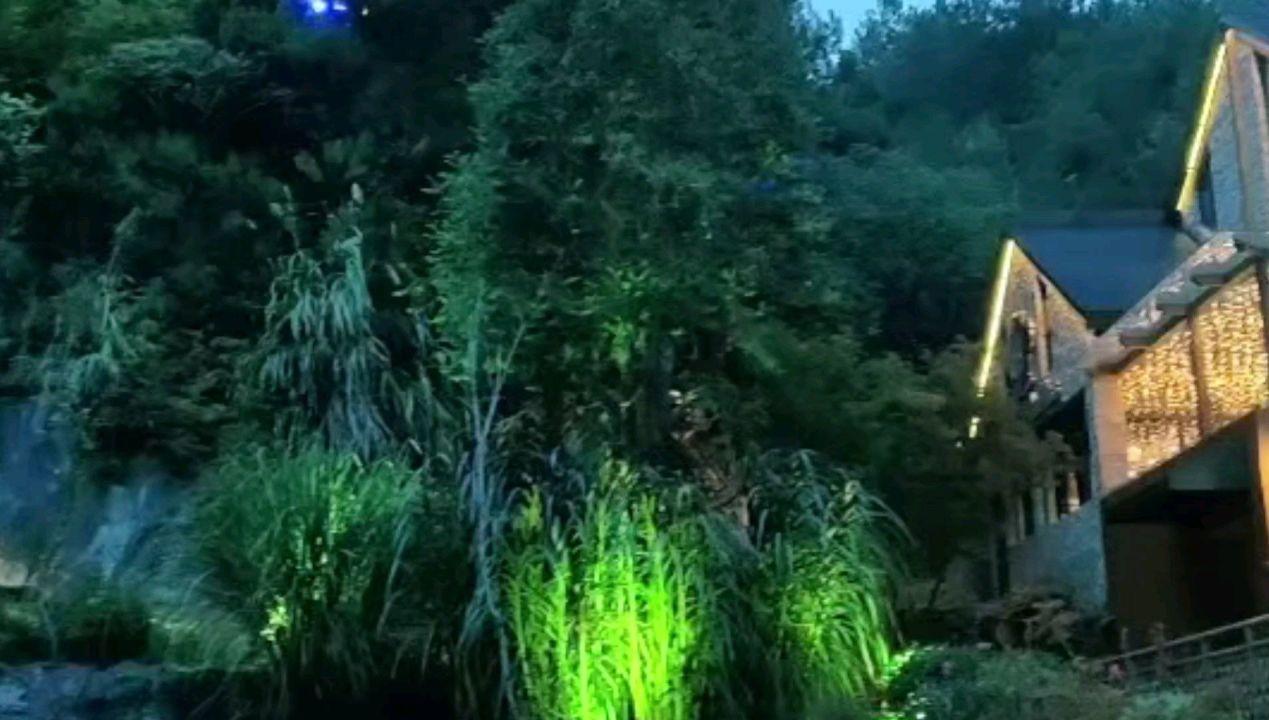升空的愤怒奶奶